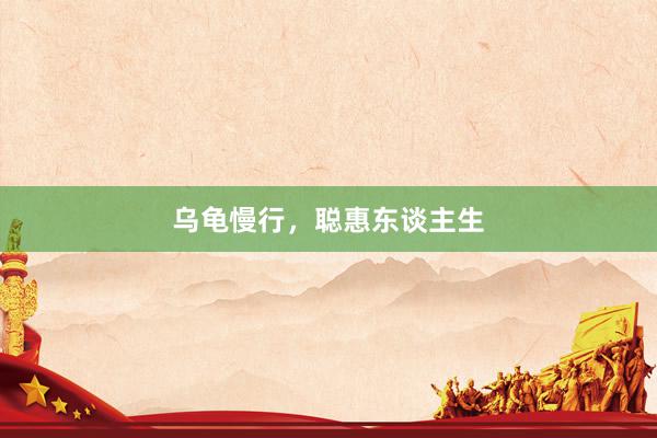 乌龟慢行，聪惠东谈主生